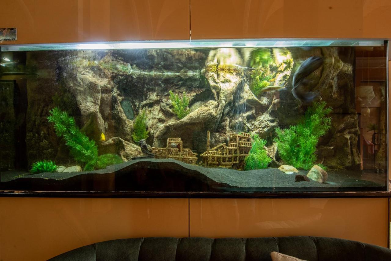 Korona Hotel Nyíregyháza Eksteriør bilde